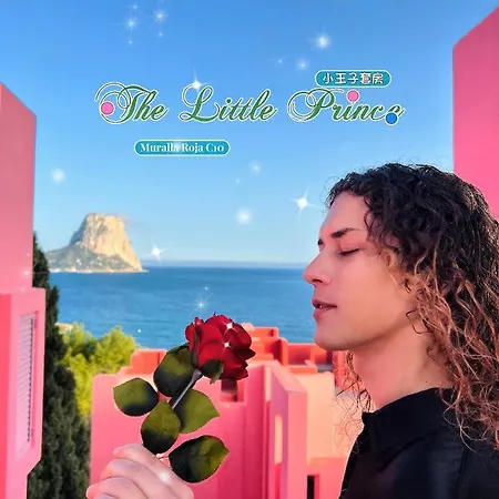 Red Wall/noble Series/little Prince/rose/sea Appartement *